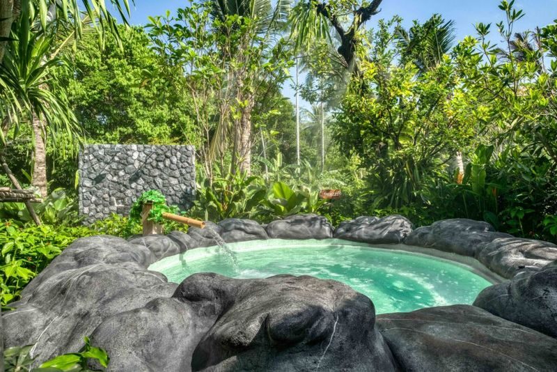 Mantra Forest Spa in Phang Nga [Phuket/Khao Lak Transfer Available] - What the day pass includes, and what costs extra