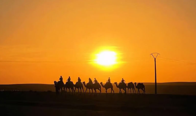 Marrakech Agafay Desert Sunset Camel Ride & Dinner - The camel ride at sunset