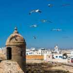 Marrakech Essaouira UNESCO Site Full-Day Tour - At the fishing port