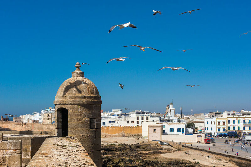 Marrakech Essaouira UNESCO Site Full-Day Tour - At the fishing port