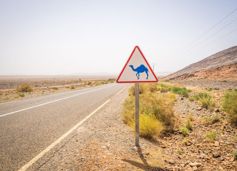 Marrakech to Tangier 5-Day Private Desert & Cultural Tour - The long road from Merzouga to Fes