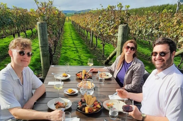 Martinborough Winery and Foodie Day Tour - A winemaker’s walk among old vines