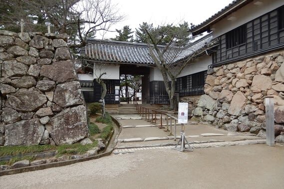 Matsue Castle admission ticket (Shimane) - Spring blossoms and a changing view