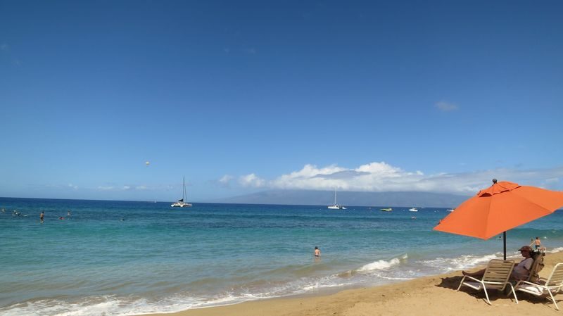 Maui Half-Day Tour - The coastal finish may be the day’s best moment