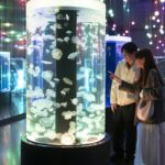 Maxell Aqua Park Shinagawa Ticket - Jellyfish, tropical fish and the Wonder Tube