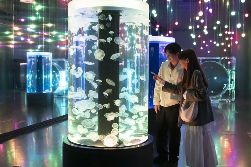 Maxell Aqua Park Shinagawa Ticket - Jellyfish, tropical fish and the Wonder Tube