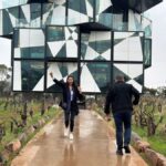 McLaren Vale Full-Day Tour - What the cellar-door tastings add