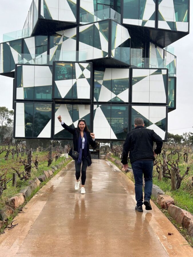 McLaren Vale Full-Day Tour - What the cellar-door tastings add