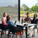 McLaren Vale Luxury Wine Tour - Three or four cellar doors, chosen for the day