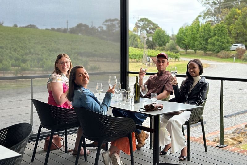 McLaren Vale Luxury Wine Tour - Three or four cellar doors, chosen for the day