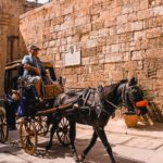 Mdina, Dingli Cliffs and San Anton Botanical Gardens Tour - Dingli Cliffs: Malta from its high edge