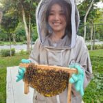 Mead Making Workshop at The Sundowner - Starting with The Sundowner’s apiary