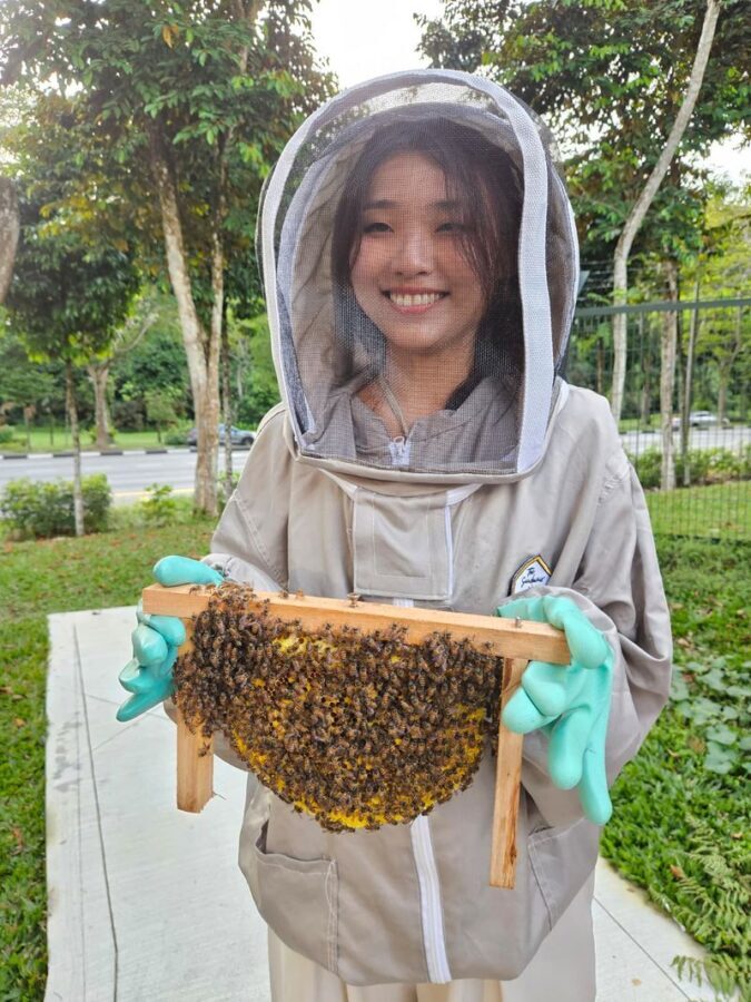 Mead Making Workshop at The Sundowner - Starting with The Sundowner’s apiary