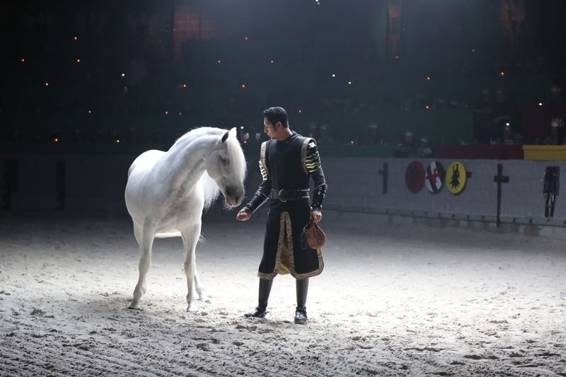 Medieval Times Orlando Dinner and Tournament Ticket - Arrive early for the castle displays