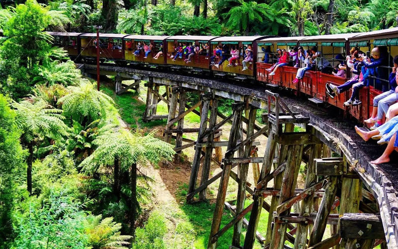 Melbourne Yarra Valley & Puffing Billy Steam Train Day Tour - From steam and forest to the Yarra Valley