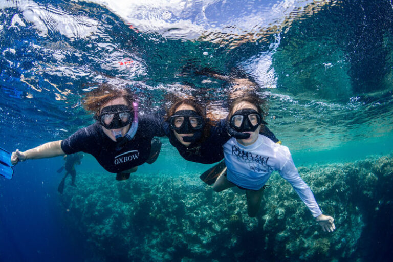 Menjangan Half-Day Snorkel: Island Bliss with PADI 5* Center