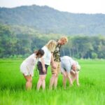 Menoreh Village Cycling in Nanggulan with MOANA Bike Tour - The ride: rice fields, canals, and village lanes