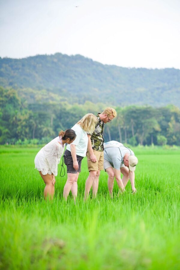 Menoreh Village Cycling in Nanggulan with MOANA Bike Tour - The ride: rice fields, canals, and village lanes