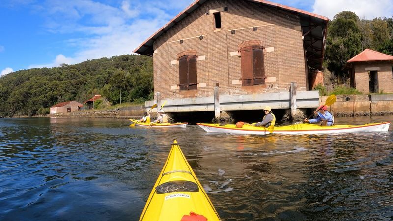 Middle Harbour Kayak Eco Tour by Sydney Harbour Kayaks - Reading the shoreline as the harbour changes