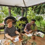 Mini Treehouse Workshop at The Sundowner - The moment it finds its place on the tree