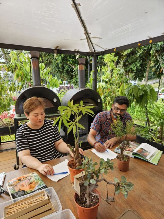 Mini Treehouse Workshop at The Sundowner - The moment it finds its place on the tree
