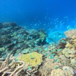 Minna Island Water Activities in Okinawa - Choosing the package that suits your day