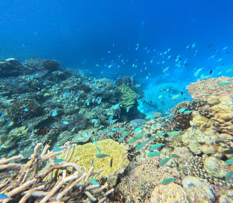 Minna Island Water Activities in Okinawa - Choosing the package that suits your day