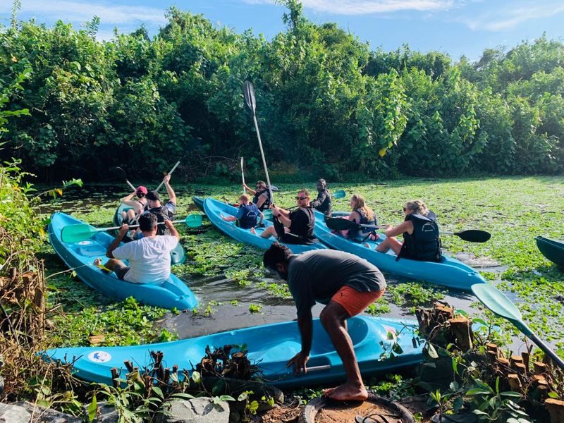 Mirissa: Guided Mangrove Kayaking Adventure & River Safari - Starting with pickup and a safety briefing