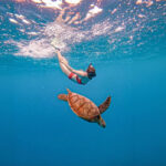 Mirissa Snorkeling: Private Sea Turtle Tour (Beginners Safe) - Getting comfortable before entering the water