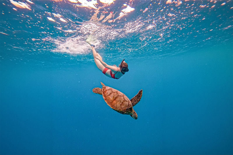 Mirissa Snorkeling: Private Sea Turtle Tour (Beginners Safe) - Getting comfortable before entering the water