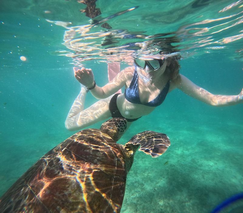Mirissa Unforgettable Snorkeling Experience with Turtles - From Thalaramba Beach to the water