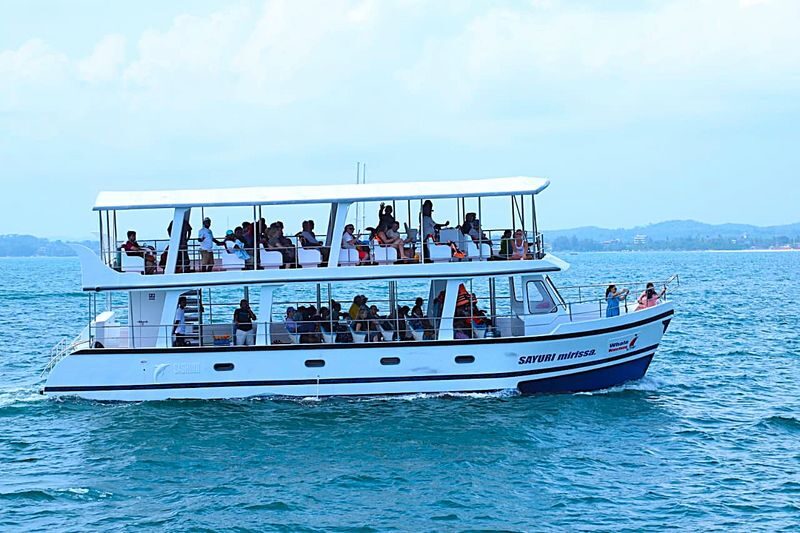 Mirissa: Whale Watching Cruise With Blue Whales & Dolphins - From the harbor to open water