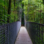 Mistico Arenal Hanging Bridges Park Ticket in La Fortuna - Following the 3.2-kilometer forest trail
