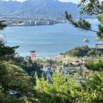 Miyajima Half-day Trip Historical Walking Tour - Read Itsukushima Shrine as architecture, not just a landmark