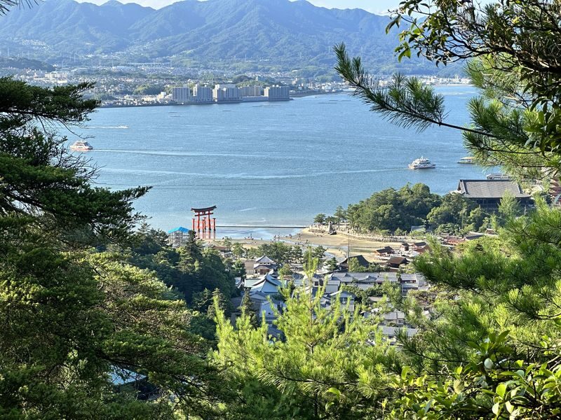 Miyajima Half-day Trip Historical Walking Tour - Read Itsukushima Shrine as architecture, not just a landmark