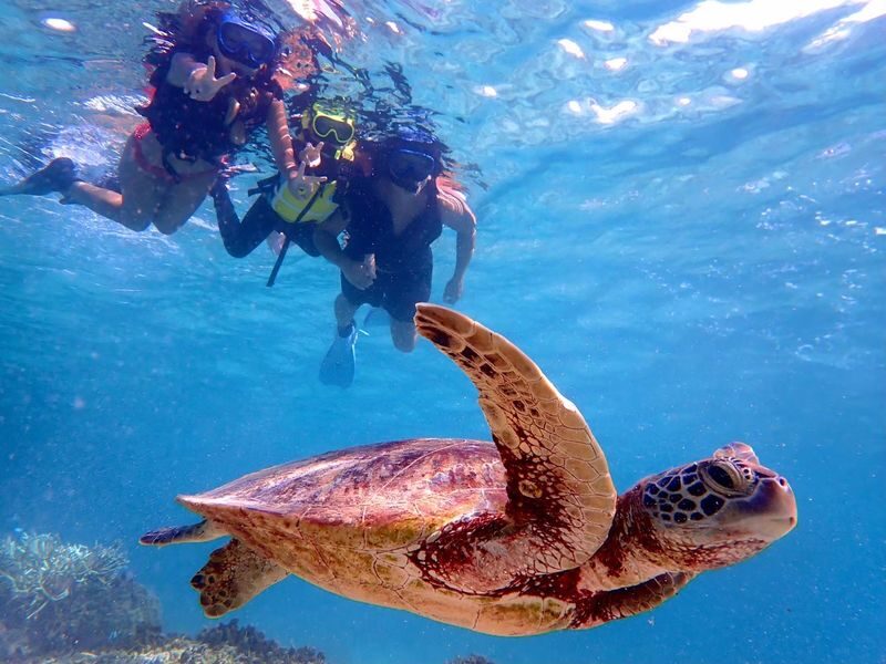 Miyako Island Complete Conquest Plan (SUP x Snorkeling x Caving x Canoe) Experience (Okinawa) - Snorkeling near Shigira Beach