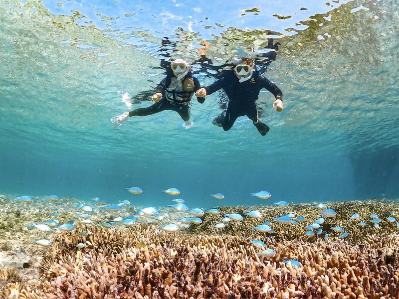 Miyako Island | Outstanding transparency! Snorkeling with sea turtles & Nemo - Searching for turtles, Nemo and coral