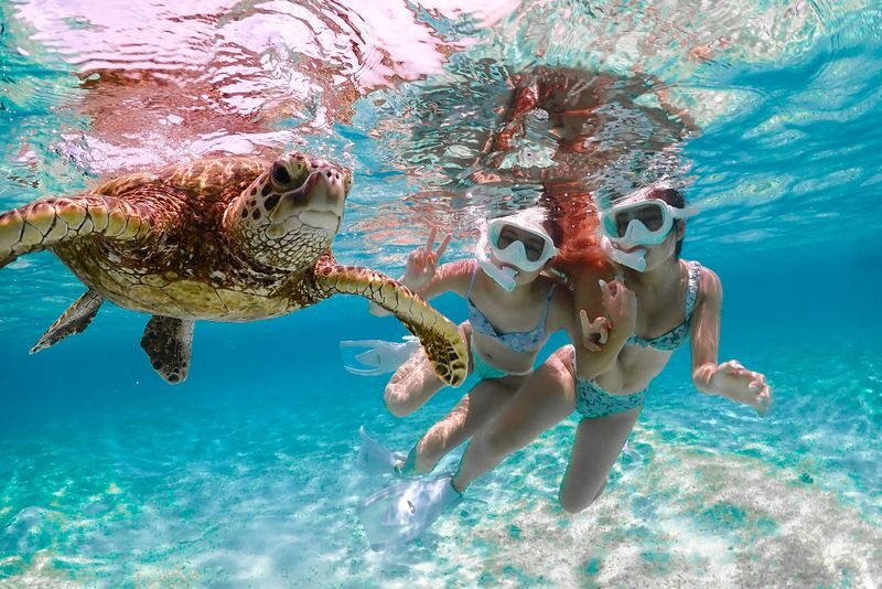 Miyakojima: Private Sea Turtle & Nemo Snorkeling w/Drone - From beach briefing to reef time
