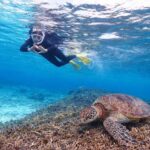 Miyakojima: Small-Group Sea Turtle & Nimo Snorkeling (English tour) - A small group and a guide who can help