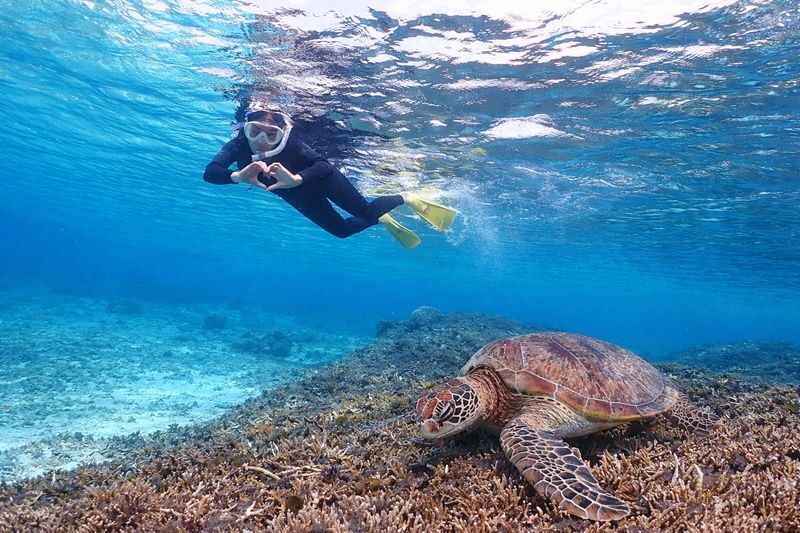 Miyakojima: Small-Group Sea Turtle & Nimo Snorkeling (English tour) - A small group and a guide who can help