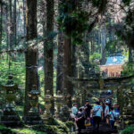 Miyazaki Kumamoto Exploration Tour | Kamishikimi Kumanoza Shrine, Amanoiwato, Takachiho Gorge, Mount Aso, Kurokawa Onsen Day Trip | Departing from Fukuoka - Takachiho Gorge and Manai Falls