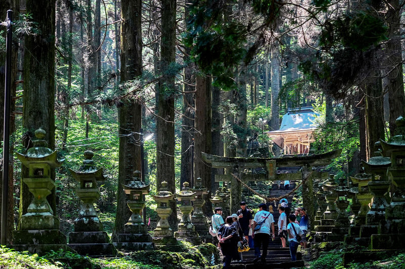 Miyazaki Kumamoto Exploration Tour | Kamishikimi Kumanoza Shrine, Amanoiwato, Takachiho Gorge, Mount Aso, Kurokawa Onsen Day Trip | Departing from Fukuoka - Takachiho Gorge and Manai Falls