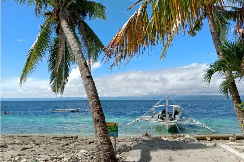 Moalboal Snorkeling Sardine Run, Sea Turtle & Mantayupan Waterfalls - Mantayupan Falls: a refreshing first stop