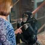 Monarto Safari Park Ticket - Start with the Zu-loop, then choose your stops