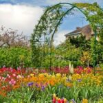 Monets Gardens & Palace of Versailles One Day Tour from Paris - At Giverny, see the places behind the paintings