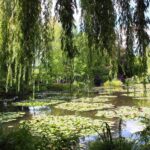 Monets House and Gardens Half Day Tour from Paris - How much free time will you have?