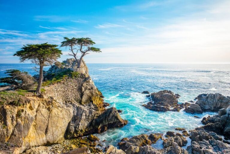 Monterey Peninsula Full-Day Small Group Tour - Pigeon Point Lighthouse: a quick first stop