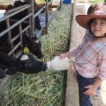 Moolk Farm Tour in Rizal - A picnic stop, not just a photo stop