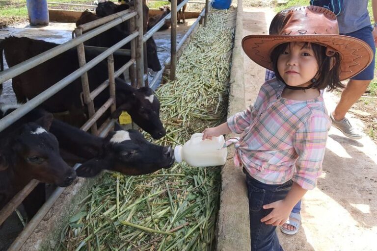 Moolk Farm Tour in Rizal - A picnic stop, not just a photo stop
