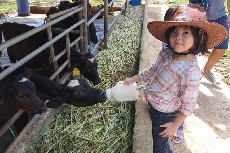 Moolk Farm Tour in Rizal - A picnic stop, not just a photo stop